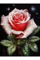 Алмазная мозаика без подрамника «Роза» 50x40 см, 50 цветов