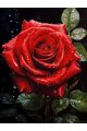 Алмазная мозаика на подрамнике «Роза» 40x30 см, 50 цветов