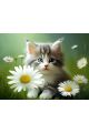Алмазная мозаика без подрамника «Котёнок и ромашки» 50x40 см, 46 цветов