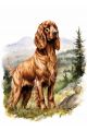 Алмазная мозаика без подрамника «Преданный пёс» 50x40 см, 50 цветов