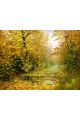 Картина интерьерная «Осенний лес» холст 130 x 100 см