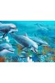 Картина интерьерная «Дельфины» холст 130 x 100 см
