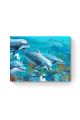Картина интерьерная на подрамнике «Дельфины» холст 90 x 70 см
