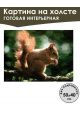 Картина интерьерная «Белочка» холст 50 x 40 см