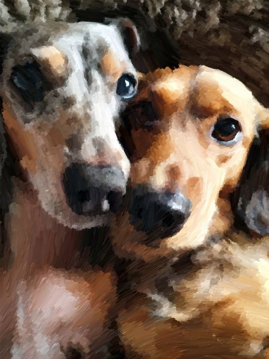 Картина интерьерная «Собаки» холст 18 x 24 см