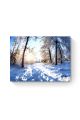 Картина интерьерная на подрамнике «Зимний лес» холст 40 x 30 см