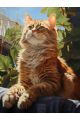 Алмазная мозаика без подрамника «Кот на отдыхе» 70x50 см, 50 цветов