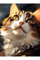 Алмазная мозаика на подрамнике «Кот» 50x40 см, 50 цветов