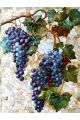 Алмазная мозаика без подрамника «Виноград на ветке» 70x50 см, 47 цветов