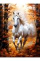 Алмазная мозаика без подрамника «Конь в лесу» 40x30 см, 50 цветов