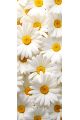 Алмазная мозаика без подрамника «Ромашки» 70x24 см, 49 цветов