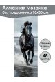 Алмазная мозаика без подрамника «Вороной конь» 90x30 см, 48 цветов