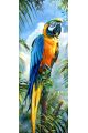 Алмазная мозаика без подрамника «Королевский попугай» 90x30 см, 50 цветов