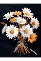 Алмазная мозаика без подрамника «Чёрное золото» 25x20 см, 37 цветов