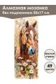 Алмазная мозаика без подрамника «Лошади» 50x17 см, 49 цветов