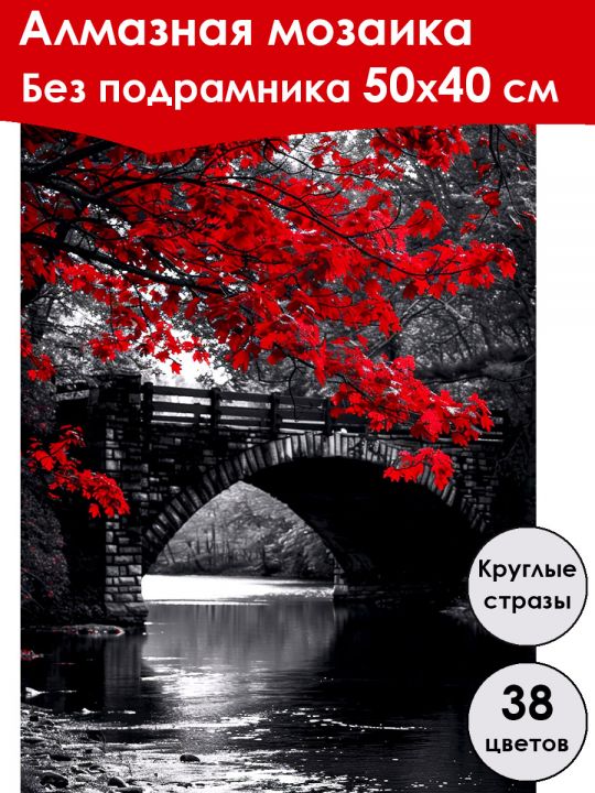 Алмазная мозаика без подрамника «Чёрно-белое» 50x40 см, 38 цветов