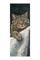 Алмазная мозаика без подрамника «Коты и собаки» 100x35 см
