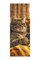 Алмазная мозаика без подрамника «Коты и собаки» 100x35 см