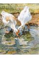 Алмазная мозаика без подрамника «Лето в деревне» 50x40 см, 50 цветов