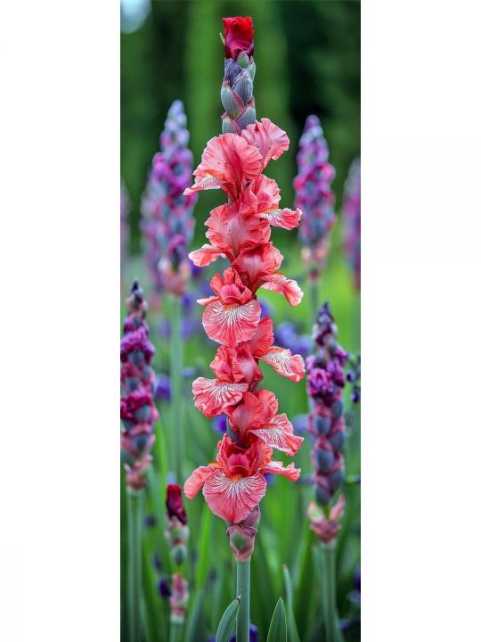 Алмазная мозаика без подрамника «Цветы» 70x24 см, 50 цветов