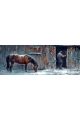 Алмазная мозаика без подрамника «Животные» 100x35 см