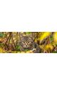 Алмазная мозаика без подрамника «В засаде» 50x17 см, 50 цветов
