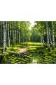 Алмазная мозаика без подрамника «Природа» 40x30 см