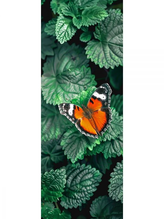 Алмазная мозаика без подрамника «Бабочки» 50x17 см, 48 цветов