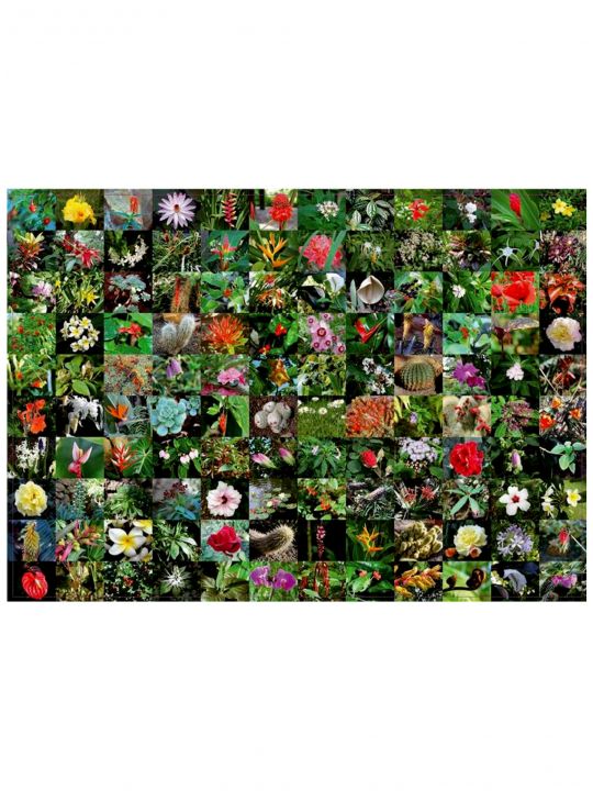 Пазл «Цветы» 1000 элементов